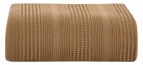 Smeđi pamučni prekrivač za bračni krevet 220x235 cm Leona - Mijolnir