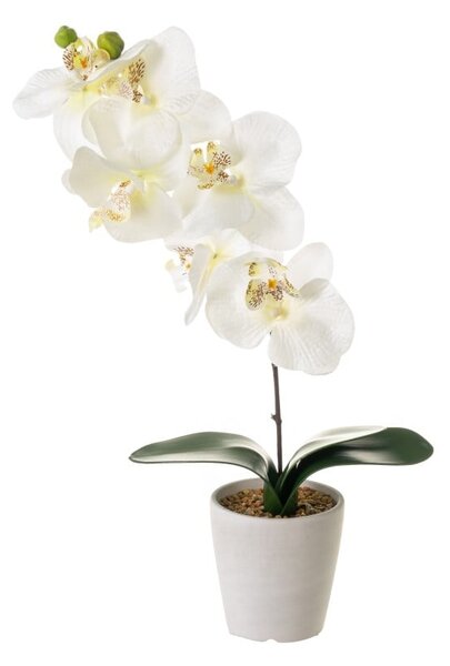 Umjetna biljka (visina 45 cm) Orchid – Casa Selección