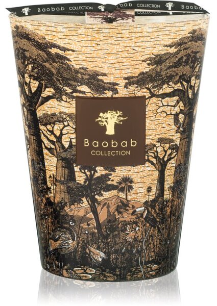 Baobab Collection Sacred Trees Mankono mirisna svijeća 3000 g