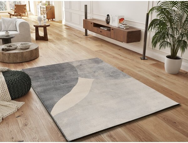 Sivi tepih 160x230 cm Monic – Universal