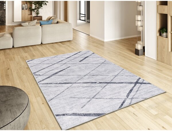 Svijetlo sivi tepih 160x230 cm Class – Universal
