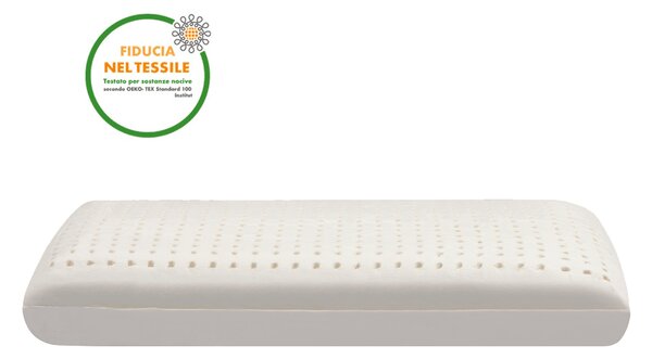 Jastuk Latex Aloe Feel