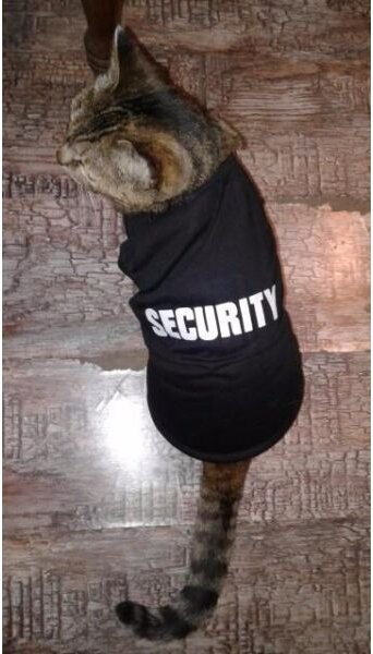 Odjeća za psa- Security